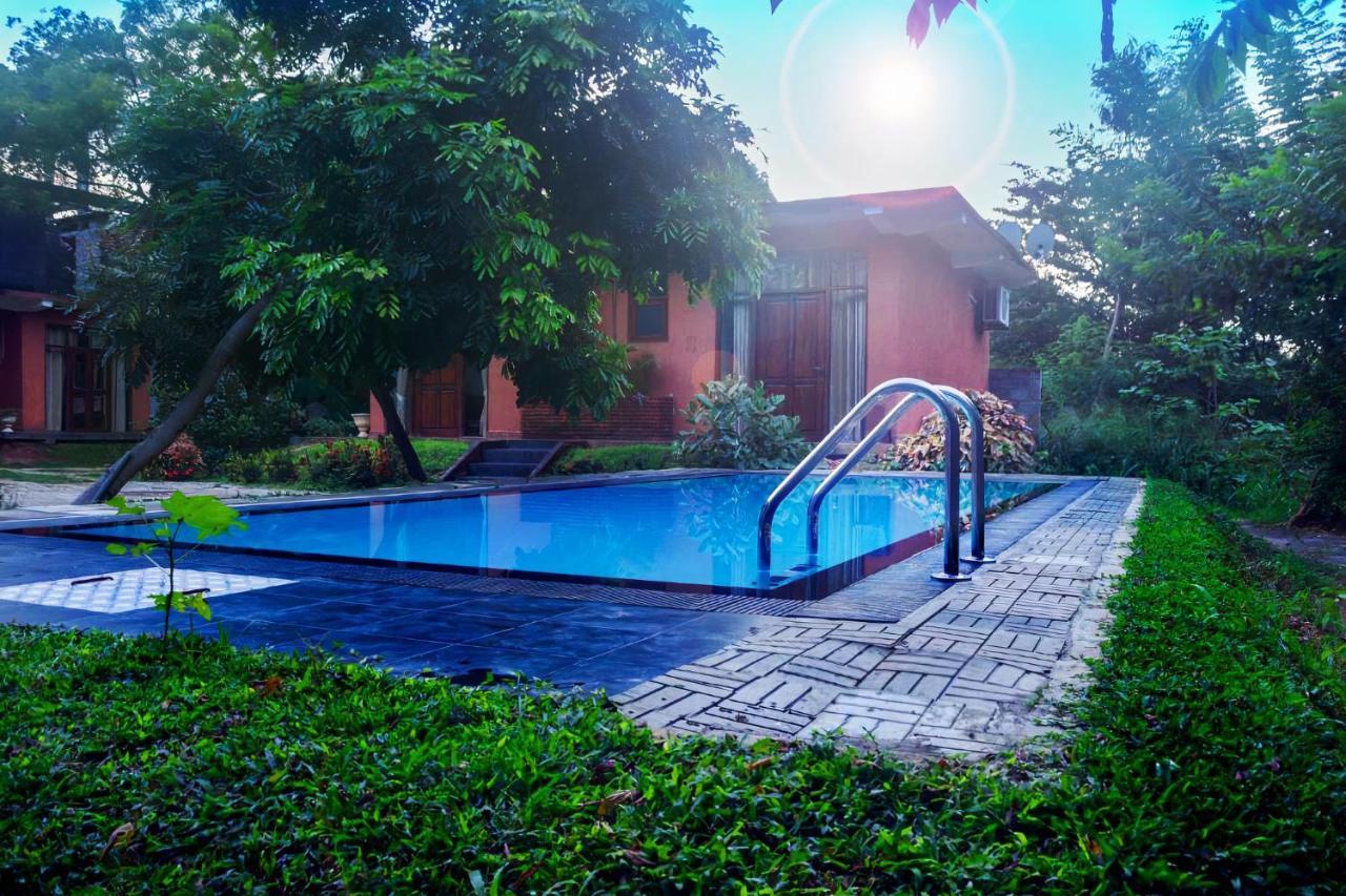 Thammenna Eco Cabins Dambulla Esterno foto